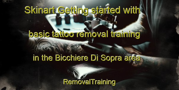 Skinart Getting started with basic tattoo removal training in the Bicchiere Di Sopra area | RemovalTraining | RemovalClasses | SkinartTraining-Italy