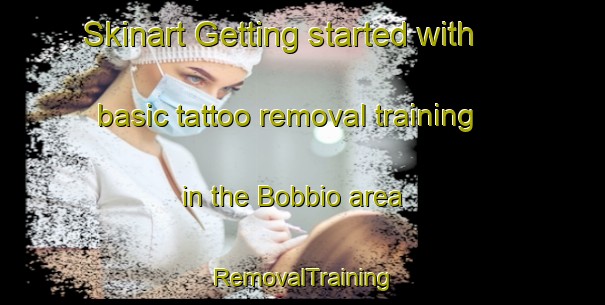 Skinart Getting started with basic tattoo removal training in the Bobbio area | RemovalTraining | RemovalClasses | SkinartTraining-Italy