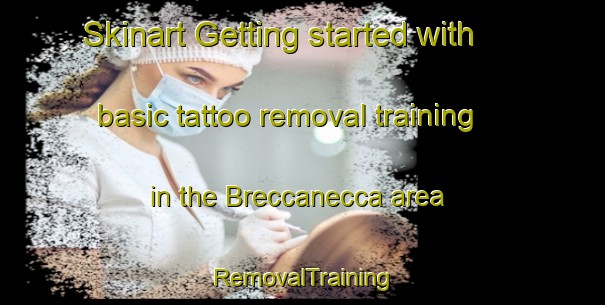 Skinart Getting started with basic tattoo removal training in the Breccanecca area | RemovalTraining | RemovalClasses | SkinartTraining-Italy