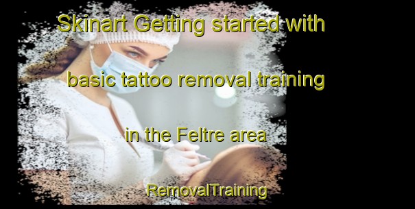 Skinart Getting started with basic tattoo removal training in the Feltre area | RemovalTraining | RemovalClasses | SkinartTraining-Italy