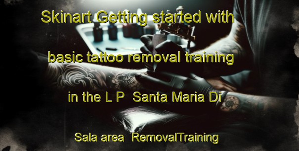 Skinart Getting started with basic tattoo removal training in the L P  Santa Maria Di Sala area | RemovalTraining | RemovalClasses | SkinartTraining-Italy