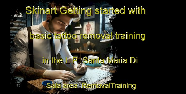 Skinart Getting started with basic tattoo removal training in the L P  Santa Maria Di Sala area | RemovalTraining | RemovalClasses | SkinartTraining-Italy