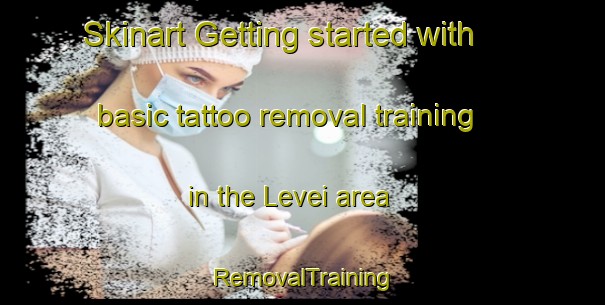 Skinart Getting started with basic tattoo removal training in the Levei area | RemovalTraining | RemovalClasses | SkinartTraining-Italy