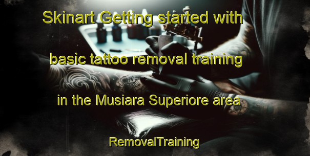 Skinart Getting started with basic tattoo removal training in the Musiara Superiore area | RemovalTraining | RemovalClasses | SkinartTraining-Italy