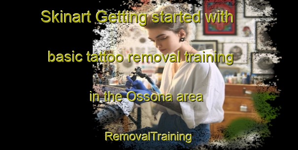 Skinart Getting started with basic tattoo removal training in the Ossona area | RemovalTraining | RemovalClasses | SkinartTraining-Italy