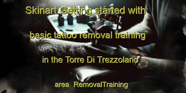 Skinart Getting started with basic tattoo removal training in the Torre Di Trezzolano area | RemovalTraining | RemovalClasses | SkinartTraining-Italy