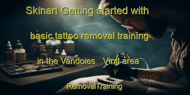 Skinart Getting started with basic tattoo removal training in the Vandoies   Vintl area | RemovalTraining | RemovalClasses | SkinartTraining-Italy