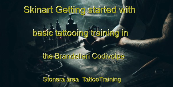 Skinart Getting started with basic tattooing training in the Brandelleri Codivolpe Stonera area | TattooTraining | TattooClasses | SkinartTraining-Italy