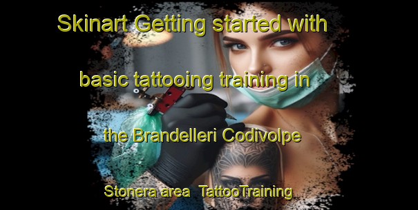 Skinart Getting started with basic tattooing training in the Brandelleri Codivolpe Stonera area | TattooTraining | TattooClasses | SkinartTraining-Italy