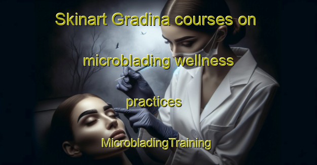 Skinart Gradina courses on microblading wellness practices | #MicrobladingTraining #MicrobladingClasses #SkinartTraining-Italy