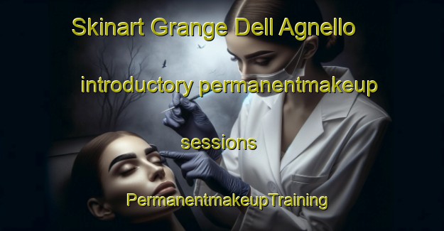 Skinart Grange Dell Agnello introductory permanentmakeup sessions | PermanentmakeupTraining | PermanentmakeupClasses | SkinartTraining-Italy