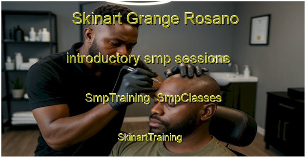 Skinart Grange Rosano introductory smp sessions | SmpTraining | SmpClasses | SkinartTraining-Italy