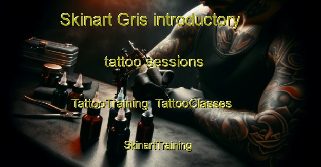 Skinart Gris introductory tattoo sessions | TattooTraining | TattooClasses | SkinartTraining-Italy