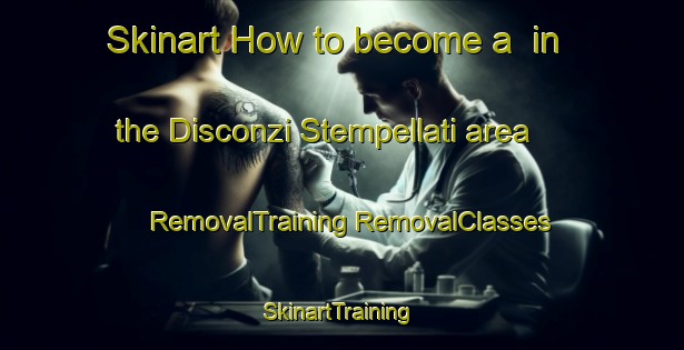 Skinart How to become a  in the Disconzi Stempellati area | #RemovalTraining #RemovalClasses #SkinartTraining-Italy