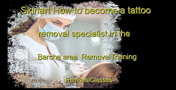 Skinart How to become a tattoo removal specialist in the Barche area | RemovalTraining | RemovalClasses | SkinartTraining-Italy