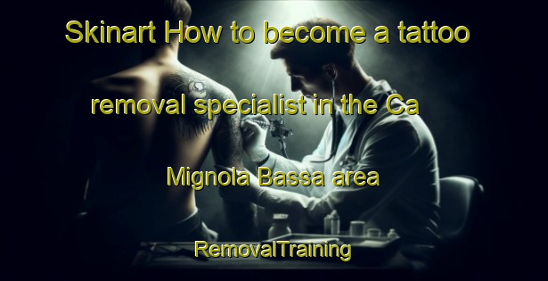 Skinart How to become a tattoo removal specialist in the Ca  Mignola Bassa area | RemovalTraining | RemovalClasses | SkinartTraining-Italy