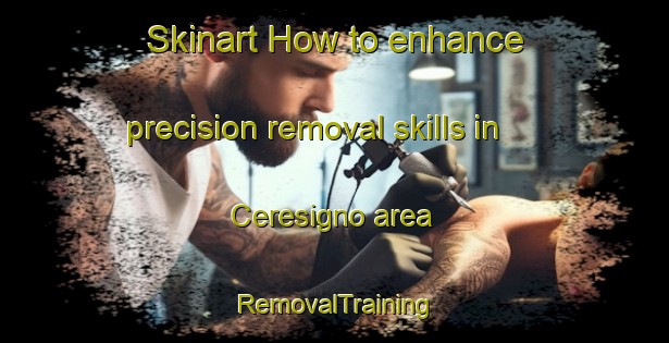 Skinart How to enhance precision removal skills in Ceresigno area | RemovalTraining | RemovalClasses | SkinartTraining-Italy