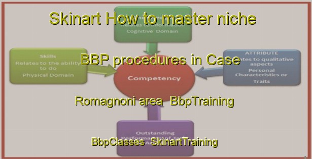 Skinart How to master niche BBP procedures in Case Romagnoni area | BbpTraining | BbpClasses | SkinartTraining-Italy
