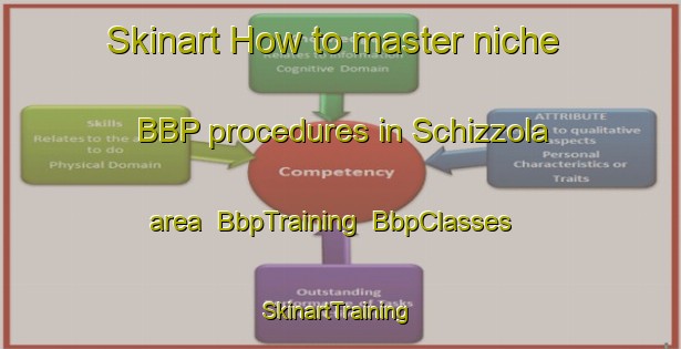 Skinart How to master niche BBP procedures in Schizzola area | BbpTraining | BbpClasses | SkinartTraining-Italy