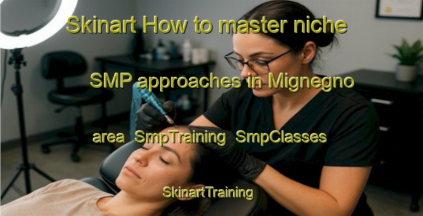 Skinart How to master niche SMP approaches in Mignegno area | SmpTraining | SmpClasses | SkinartTraining-Italy