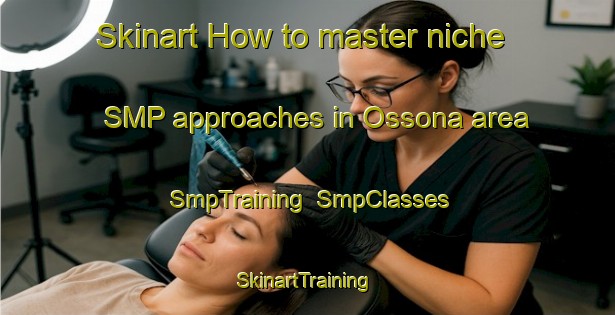Skinart How to master niche SMP approaches in Ossona area | SmpTraining | SmpClasses | SkinartTraining-Italy