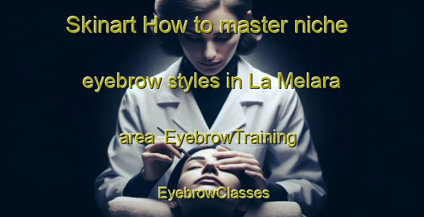 Skinart How to master niche eyebrow styles in La Melara area | EyebrowTraining | EyebrowClasses | SkinartTraining-Italy