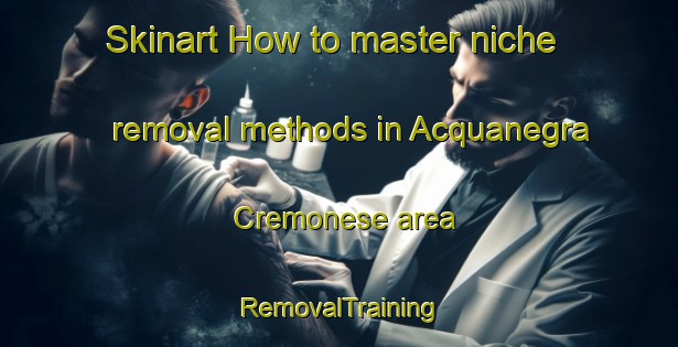 Skinart How to master niche removal methods in Acquanegra Cremonese area | RemovalTraining | RemovalClasses | SkinartTraining-Italy