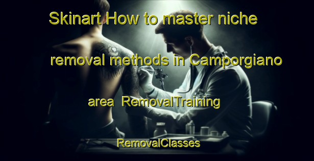 Skinart How to master niche removal methods in Camporgiano area | RemovalTraining | RemovalClasses | SkinartTraining-Italy
