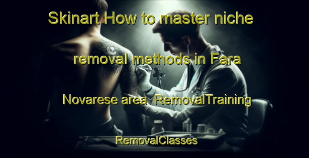 Skinart How to master niche removal methods in Fara Novarese area | RemovalTraining | RemovalClasses | SkinartTraining-Italy