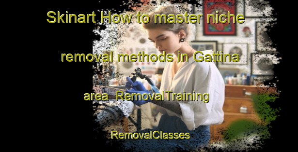 Skinart How to master niche removal methods in Gattina area | RemovalTraining | RemovalClasses | SkinartTraining-Italy
