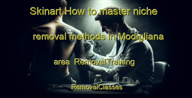 Skinart How to master niche removal methods in Modigliana area | RemovalTraining | RemovalClasses | SkinartTraining-Italy