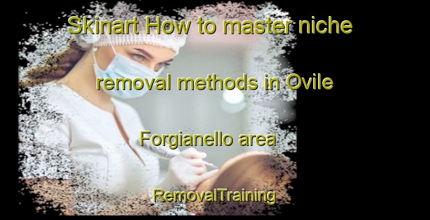 Skinart How to master niche removal methods in Ovile Forgianello area | RemovalTraining | RemovalClasses | SkinartTraining-Italy