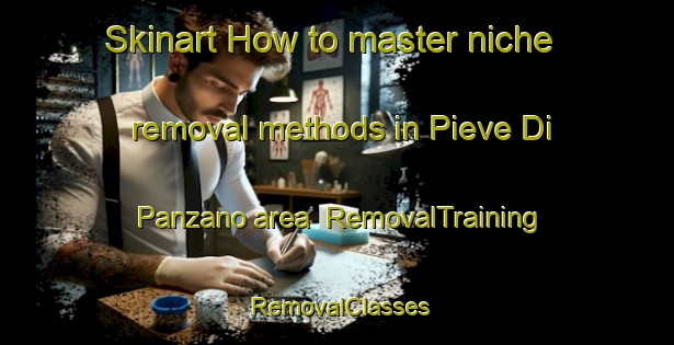 Skinart How to master niche removal methods in Pieve Di Panzano area | RemovalTraining | RemovalClasses | SkinartTraining-Italy