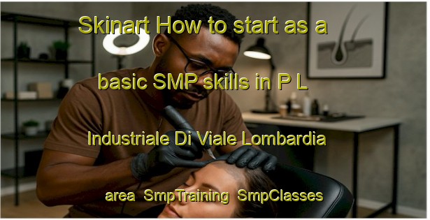 Skinart How to start as a basic SMP skills in P L  Industriale Di Viale Lombardia area | SmpTraining | SmpClasses | SkinartTraining-Italy