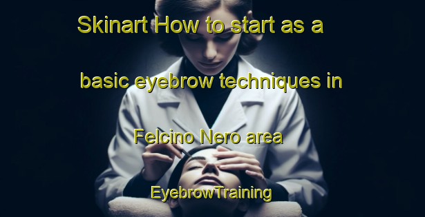 Skinart How to start as a basic eyebrow techniques in Felcino Nero area | EyebrowTraining | EyebrowClasses | SkinartTraining-Italy