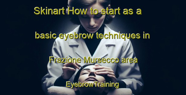 Skinart How to start as a basic eyebrow techniques in Frazione Mursecco area | EyebrowTraining | EyebrowClasses | SkinartTraining-Italy