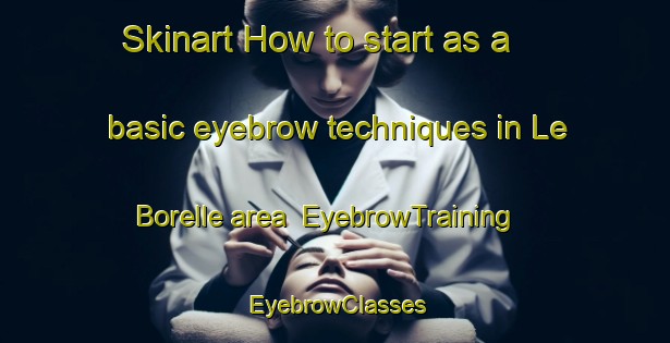 Skinart How to start as a basic eyebrow techniques in Le Borelle area | EyebrowTraining | EyebrowClasses | SkinartTraining-Italy
