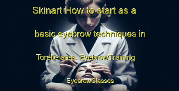 Skinart How to start as a basic eyebrow techniques in Torelle area | EyebrowTraining | EyebrowClasses | SkinartTraining-Italy