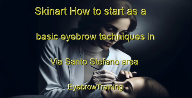 Skinart How to start as a basic eyebrow techniques in Via Santo Stefano area | EyebrowTraining | EyebrowClasses | SkinartTraining-Italy