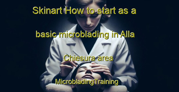 Skinart How to start as a basic microblading in Alla Chiesura area | MicrobladingTraining | MicrobladingClasses | SkinartTraining-Italy