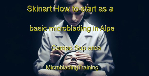 Skinart How to start as a basic microblading in Alpe Campo Sup area | MicrobladingTraining | MicrobladingClasses | SkinartTraining-Italy