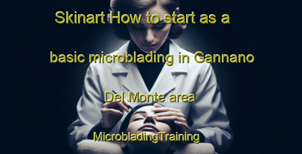 Skinart How to start as a basic microblading in Gannano Del Monte area | MicrobladingTraining | MicrobladingClasses | SkinartTraining-Italy