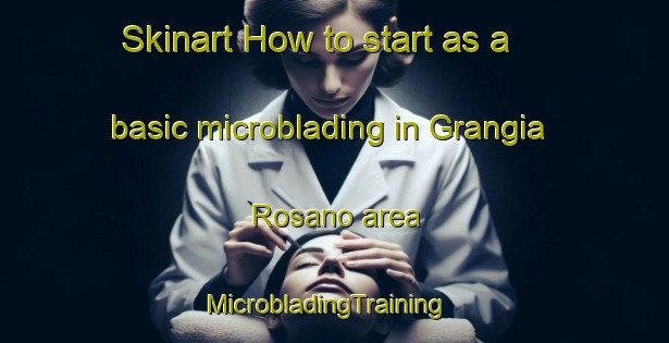 Skinart How to start as a basic microblading in Grangia Rosano area | MicrobladingTraining | MicrobladingClasses | SkinartTraining-Italy