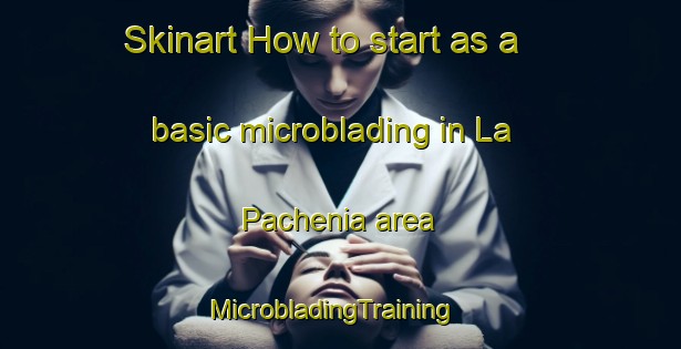 Skinart How to start as a basic microblading in La Pachenia area | MicrobladingTraining | MicrobladingClasses | SkinartTraining-Italy