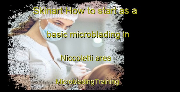 Skinart How to start as a basic microblading in Niccoletti area | MicrobladingTraining | MicrobladingClasses | SkinartTraining-Italy