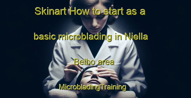 Skinart How to start as a basic microblading in Niella Belbo area | MicrobladingTraining | MicrobladingClasses | SkinartTraining-Italy