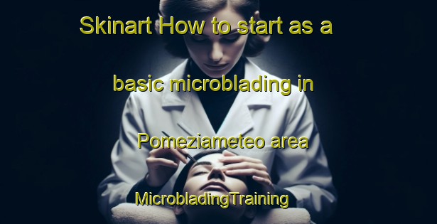Skinart How to start as a basic microblading in Pomeziameteo area | MicrobladingTraining | MicrobladingClasses | SkinartTraining-Italy