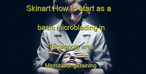 Skinart How to start as a basic microblading in Terragnolo area | MicrobladingTraining | MicrobladingClasses | SkinartTraining-Italy