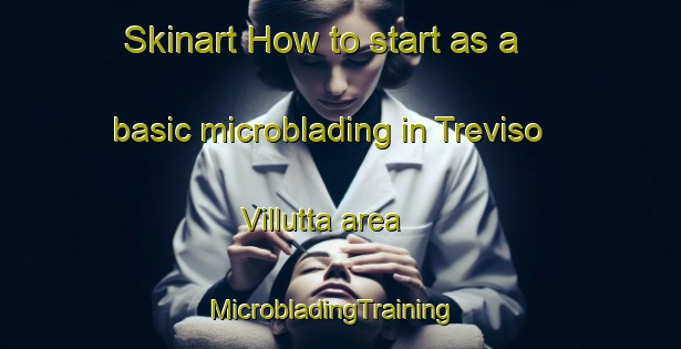 Skinart How to start as a basic microblading in Treviso Villutta area | MicrobladingTraining | MicrobladingClasses | SkinartTraining-Italy