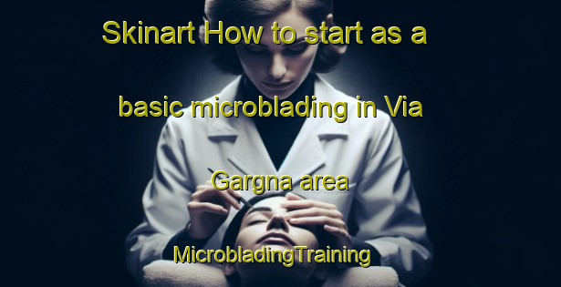 Skinart How to start as a basic microblading in Via Gargna area | MicrobladingTraining | MicrobladingClasses | SkinartTraining-Italy